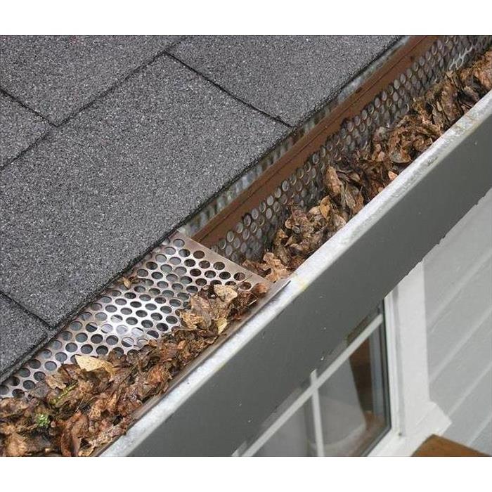 Gutters with Leaves